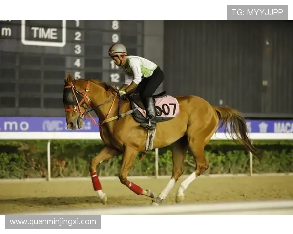 一赛马资讯专业解读澳门赛马赛事中的热门马匹与赛马策略分析